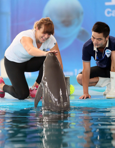 每隔一段时 每隔一段时